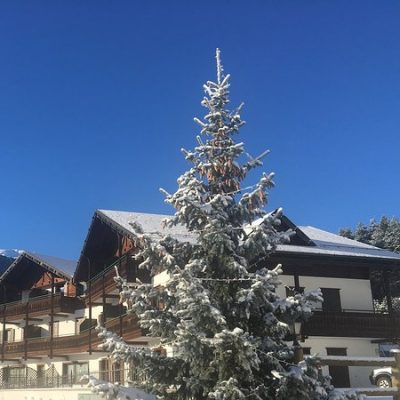 1731 - Inverno